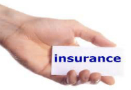 Insurance Services for Expats in the Netherlands